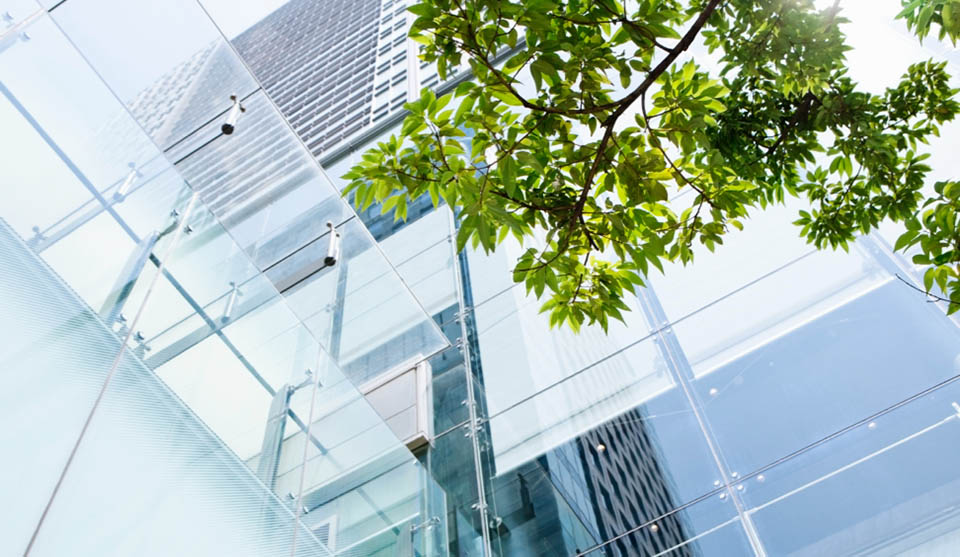 trees and skyscrapers