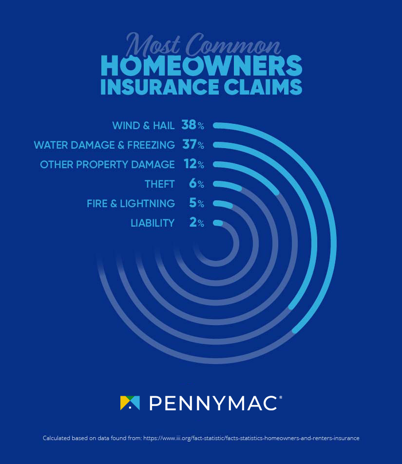Chart of most common homeowners insurance claims