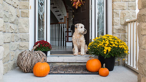 Why Fall Is the Best Time to Buy A House: A Shopper’s Guide to the Benefits of Autumn House Hunting