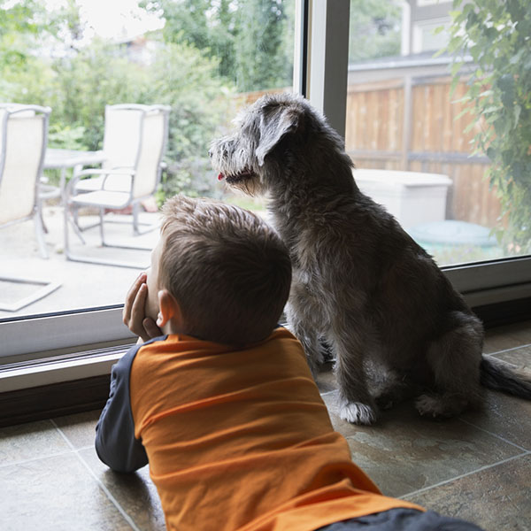 Boy and dog looking out window